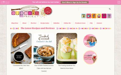 The Cupcake Project - BakeCalc bakery websites to follow